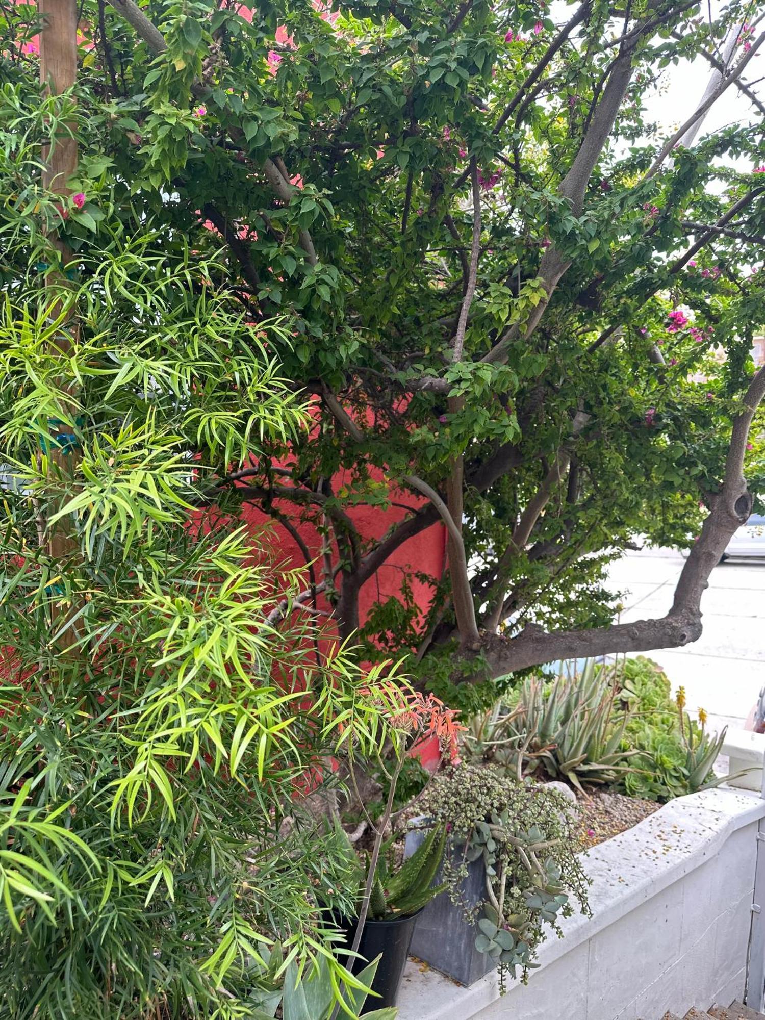 Modern, Remodeled Echo Park House-Walk To Sunset Blvd, Dodgers Stadium, Shops, Bars, Restaurants, Lake, Concerts Los Angeles Exterior foto